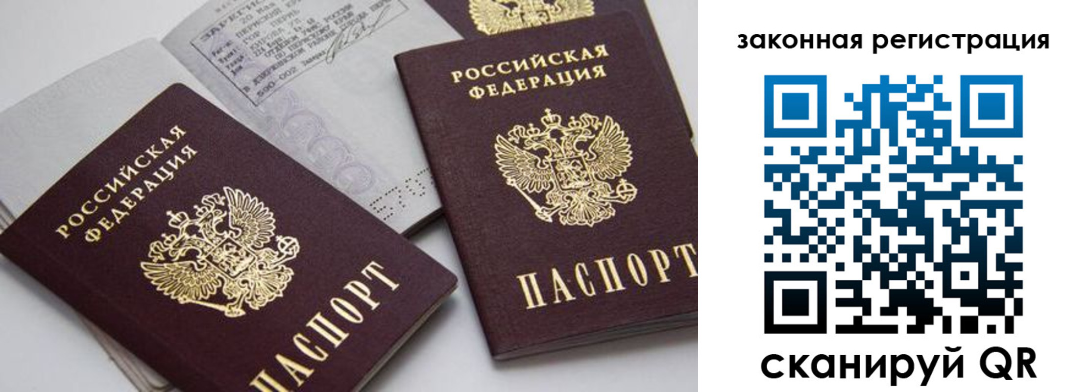регистрация для школы в Белгородской области